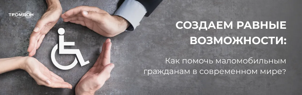 Как помочь маломобильным гражданам в современном мире Как помочь маломобильным гражданам в современном мире